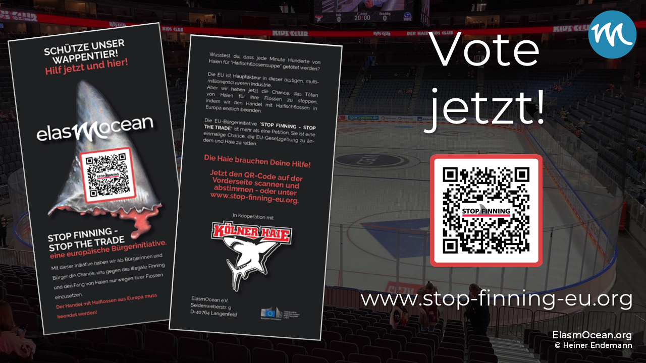 Dekoratives Bild: Vote jetzt vor einem Eishockeystadion und einem Flyerabdruck