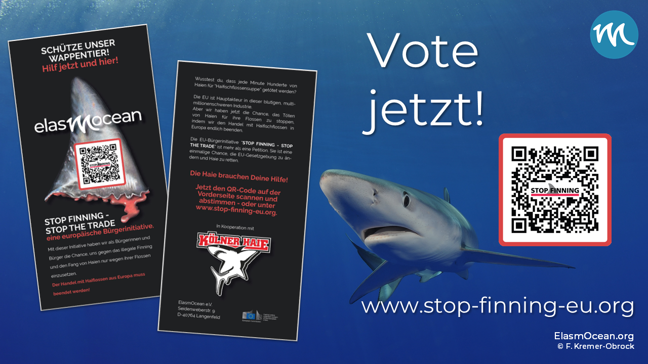 Dekoratives Bild: Vote jetzt vor einem Blauhai und einem Flyerabdruck