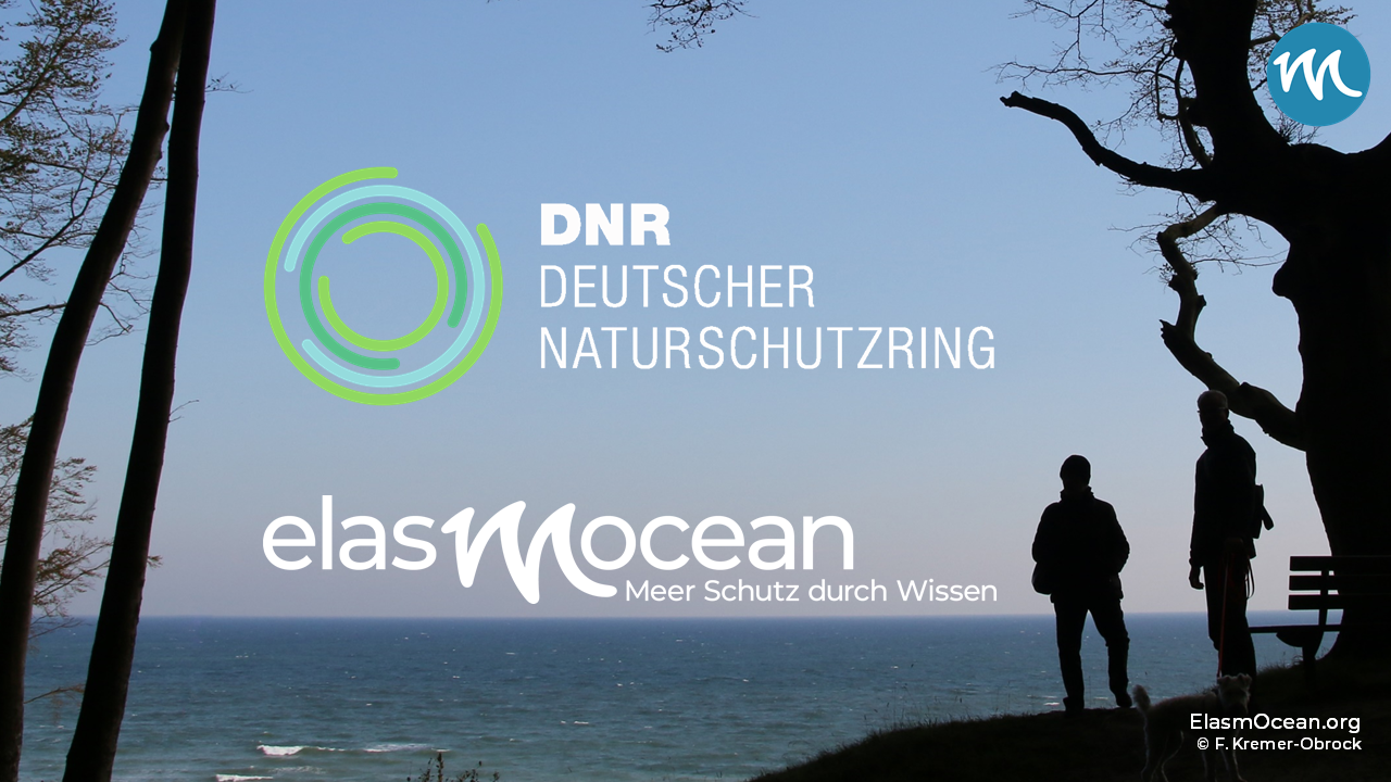 Dekoratives Bild: Menschen vor dem Meer, Schriftzüge "DNR Deutscher Naturschtzring" und "ElasmOcean"