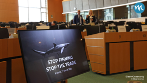 Dekoratives Bild: Im EU-Parlament in Brüssel. Vorne ein Display mit dem Text "Stop Finning Stop The Trade" und einem Haifisch
