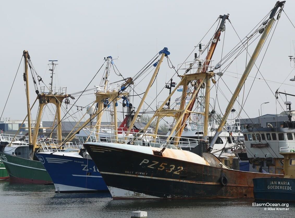 Rostende Grundschleppnetzschiffe in den Niederlande