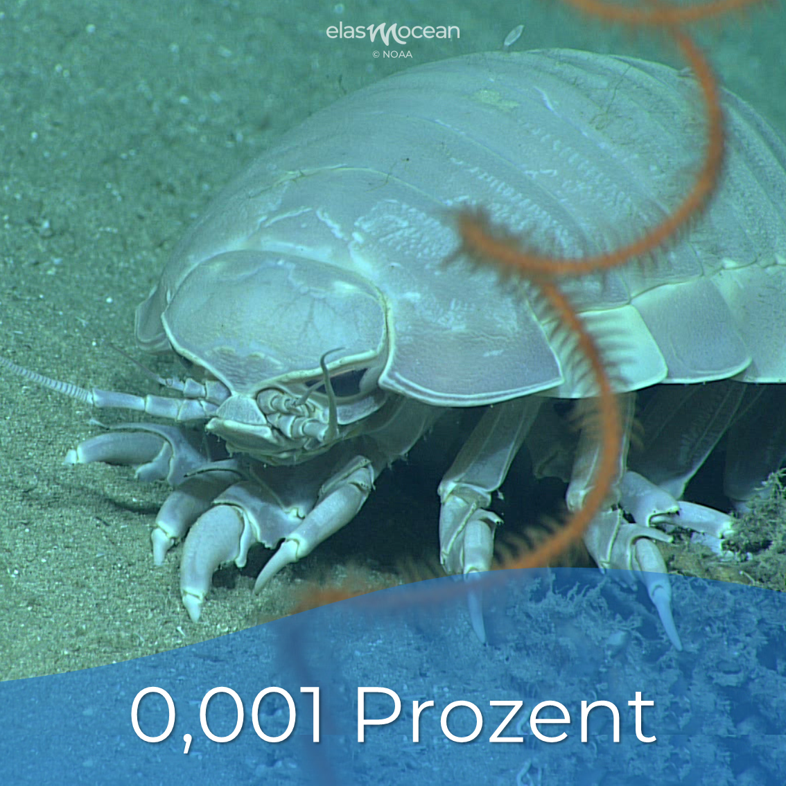 0_001 Prozent