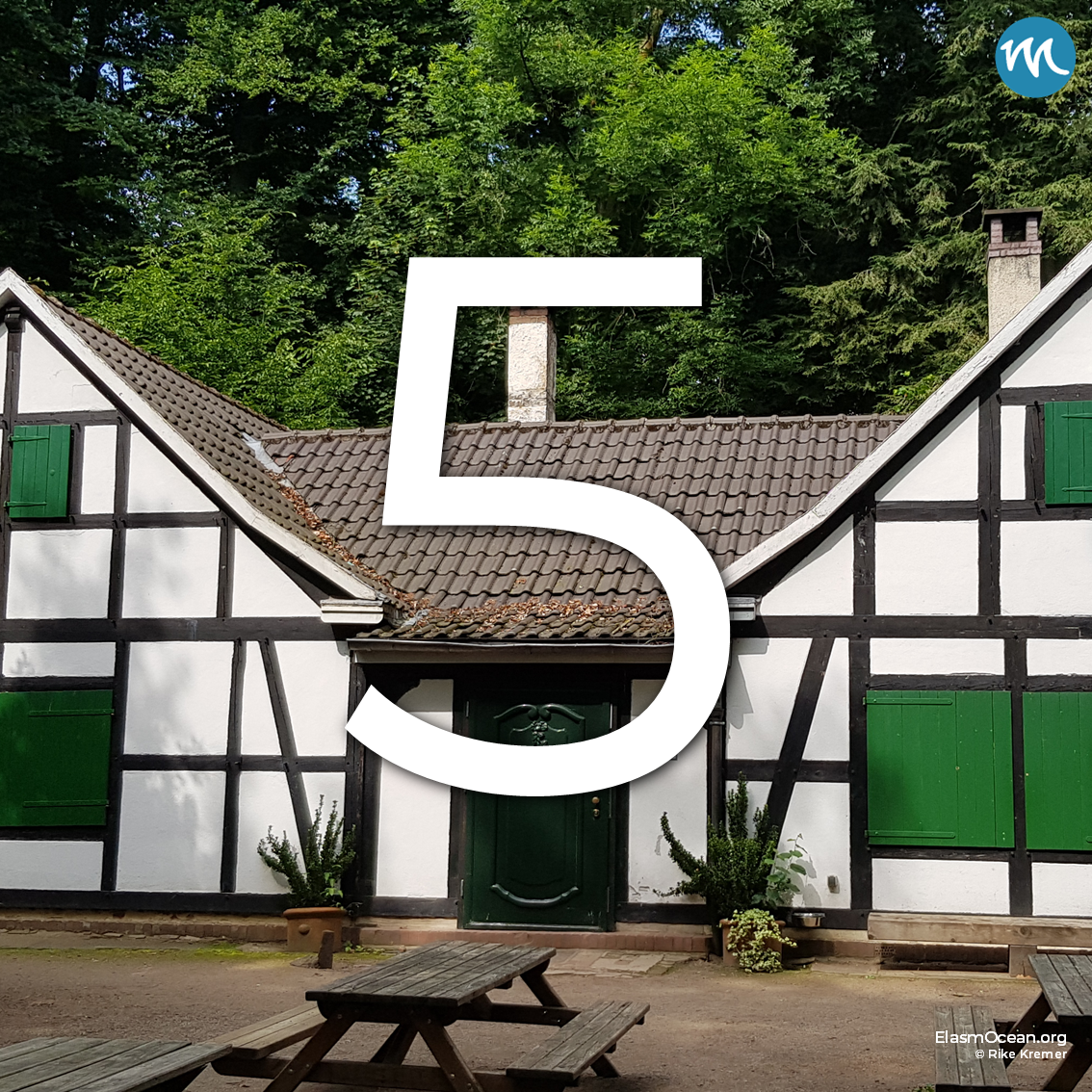 5 Jahre