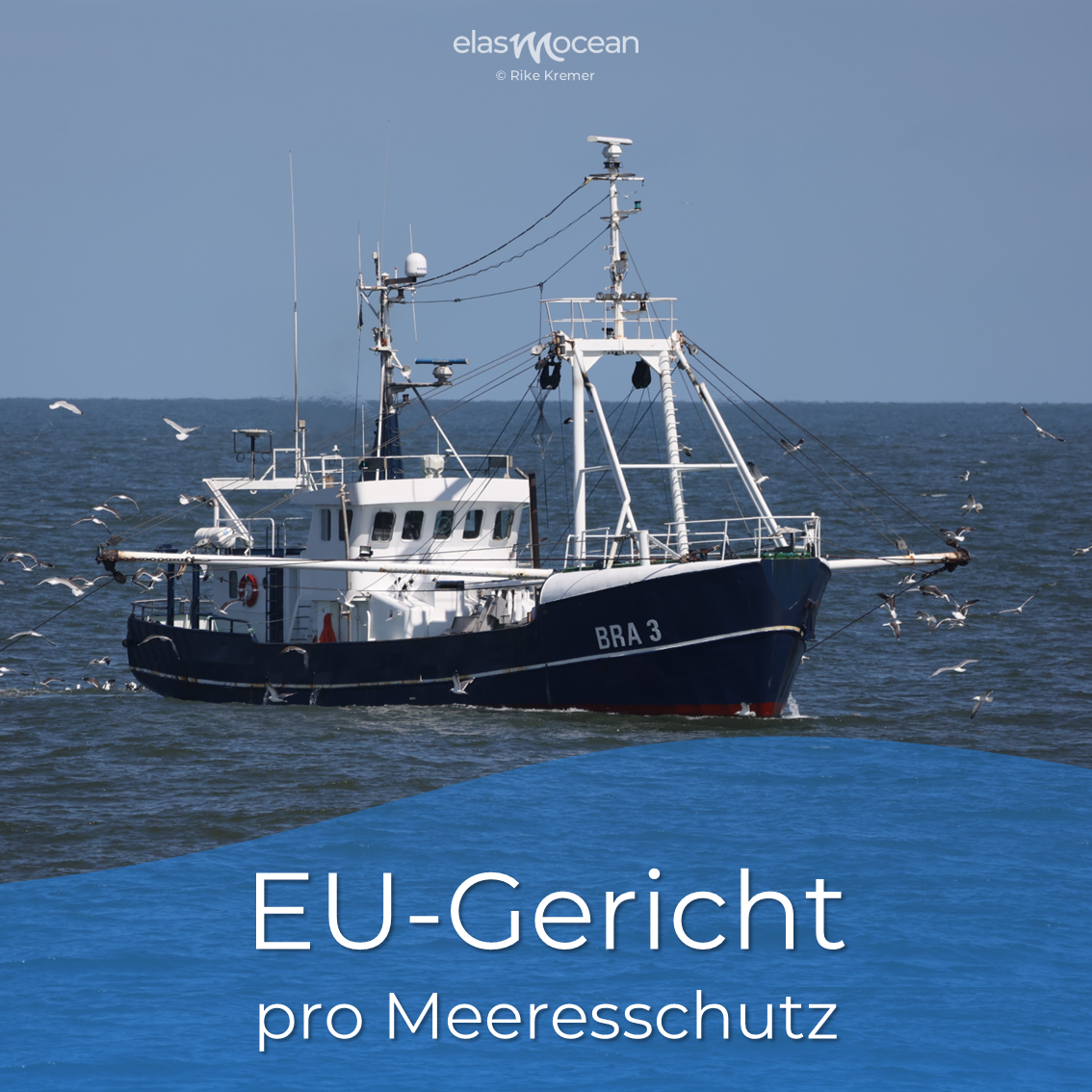 EU Gericht pro Meeresschutz