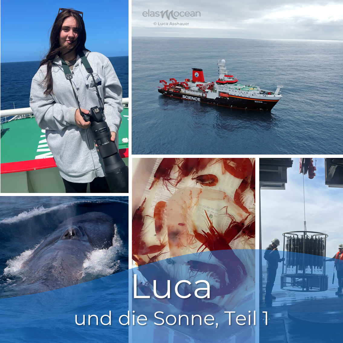 Luca1
