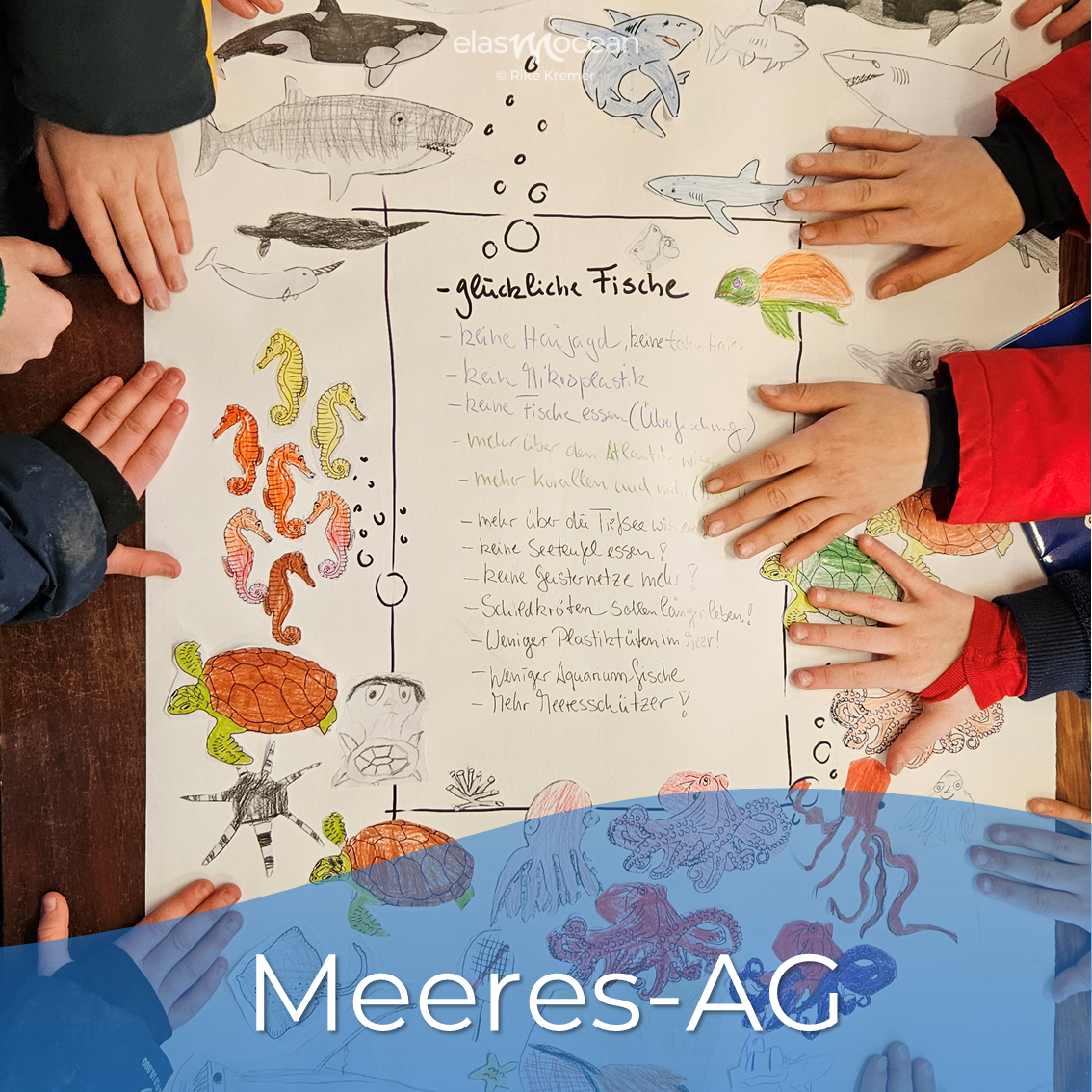 Meeres-AG
