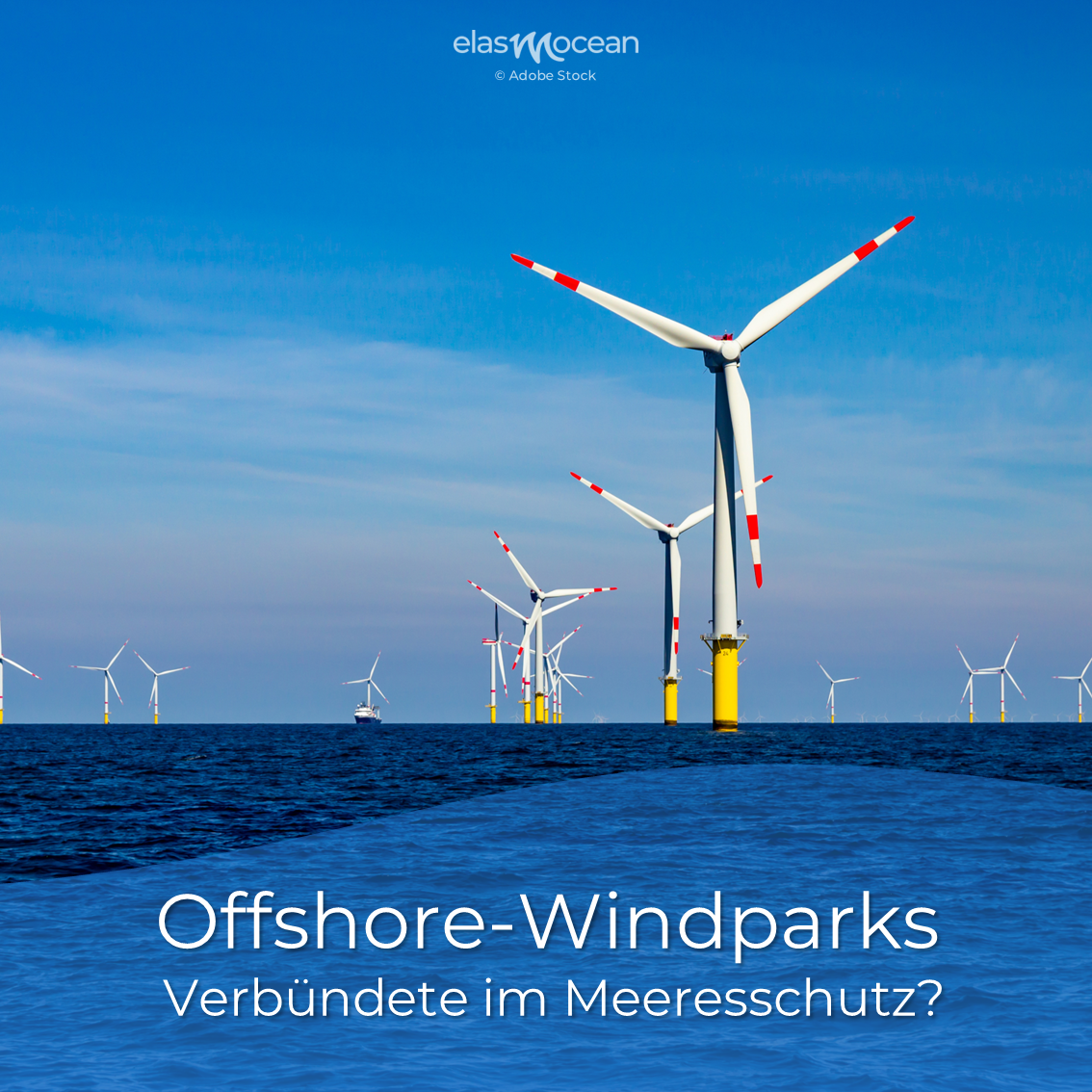 Offshore- Windparks
