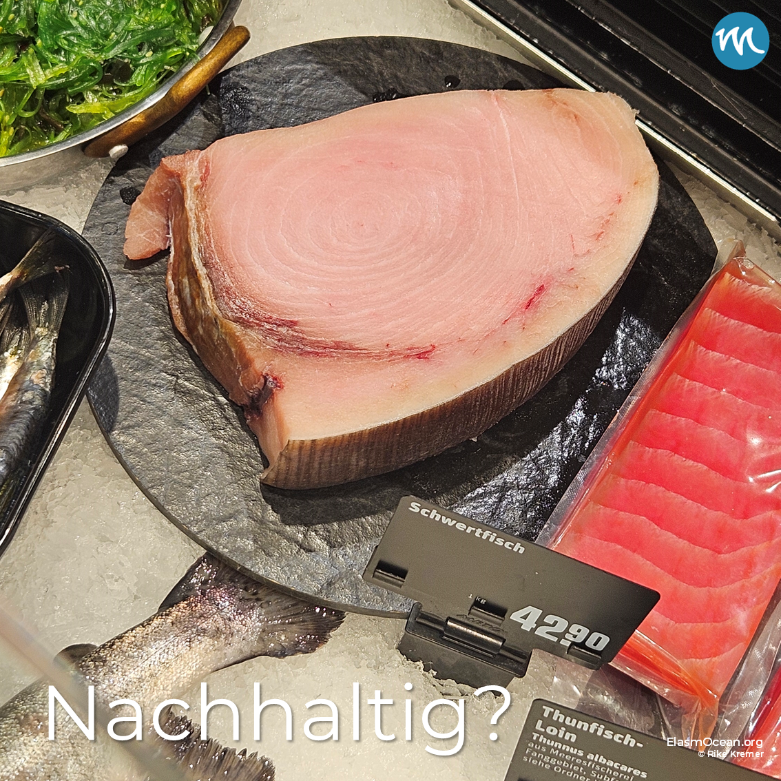 Schwertfisch