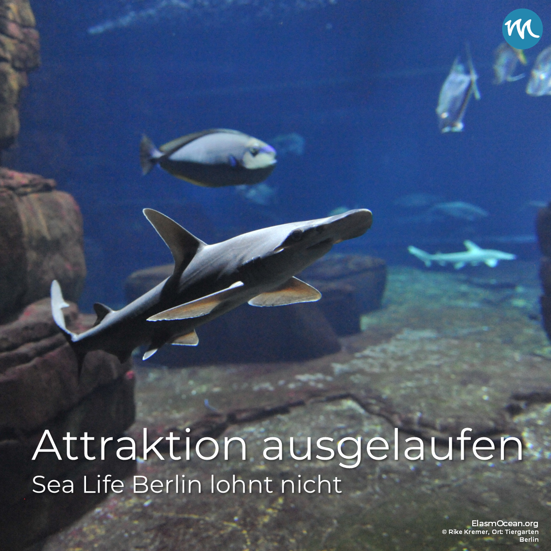 Sea Life ausgelaufen