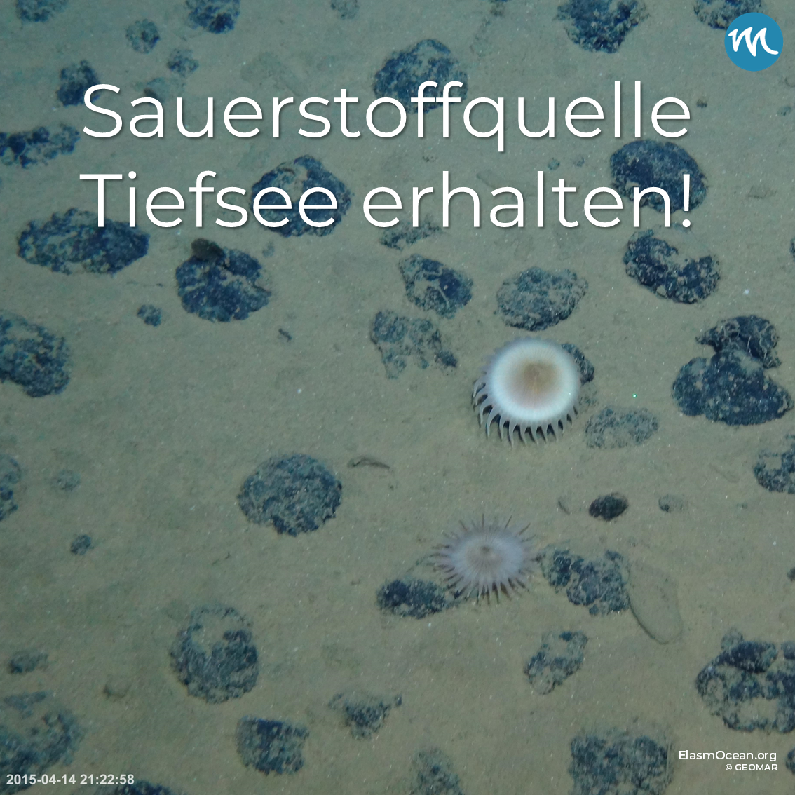 Tiefsee