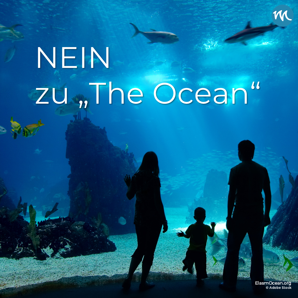 the ocean