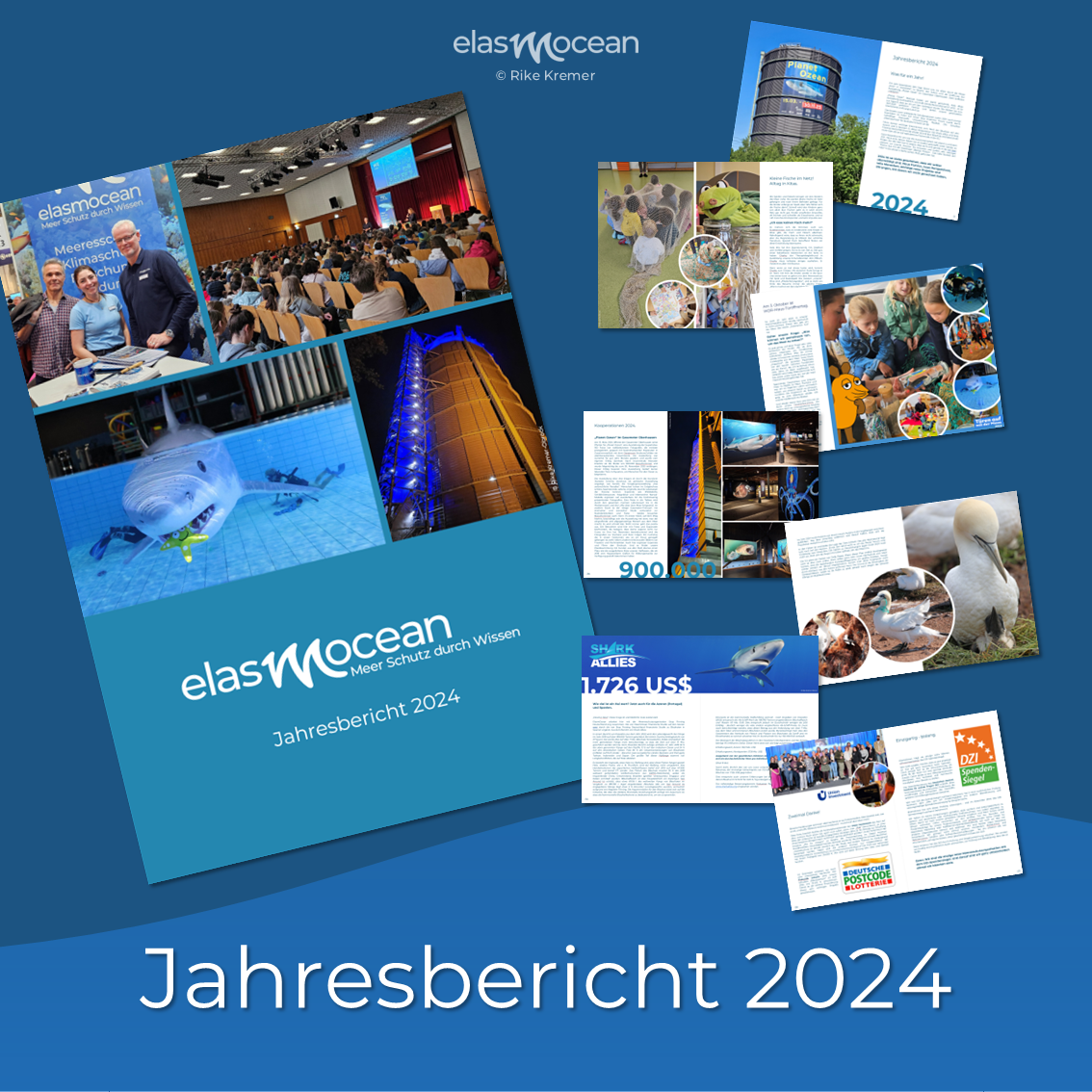 Jahresbericht