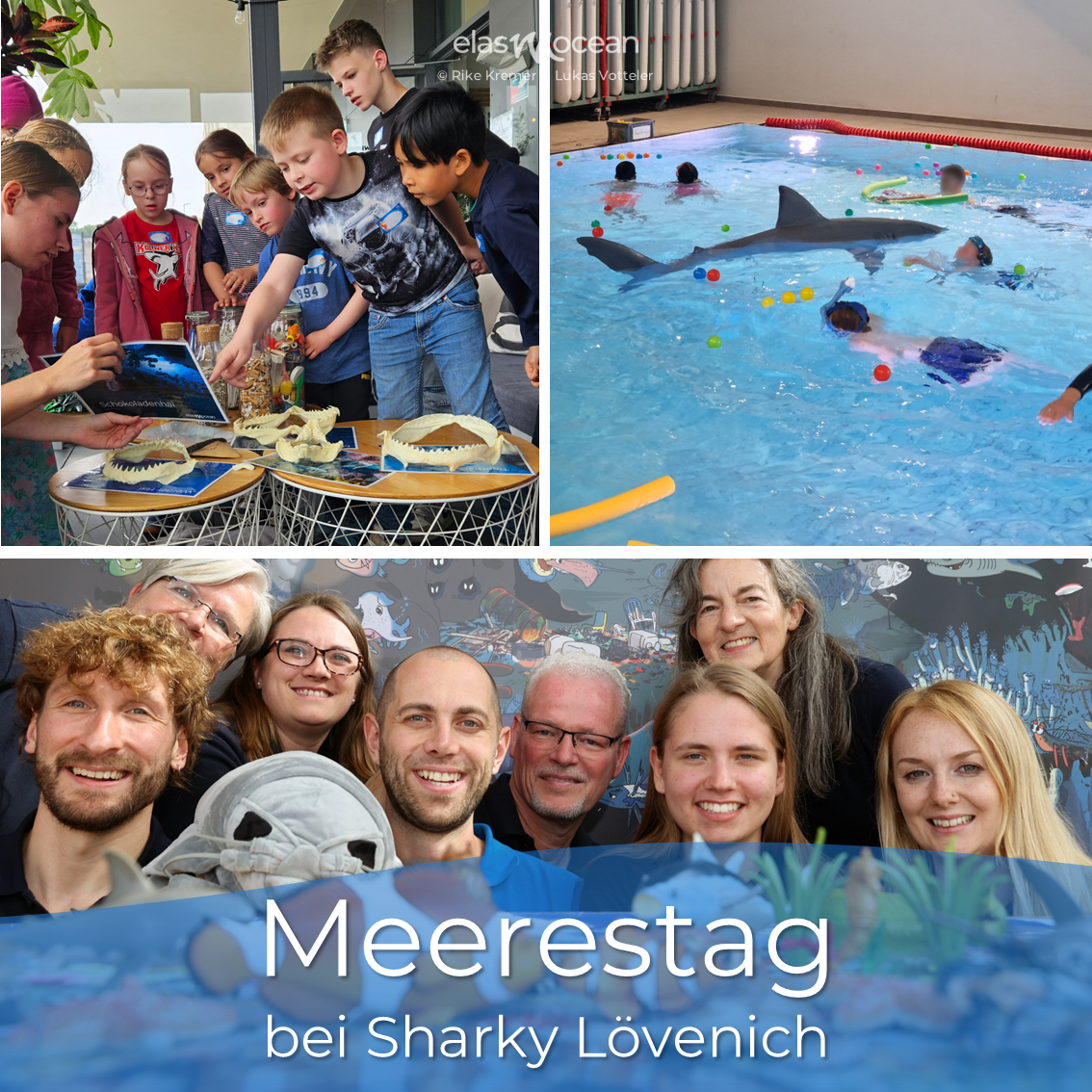 Sharky 29_5_25 1