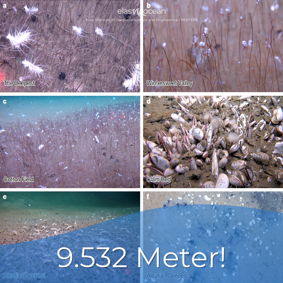 9532 Meter