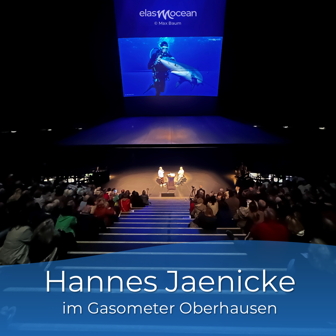 Hannes1