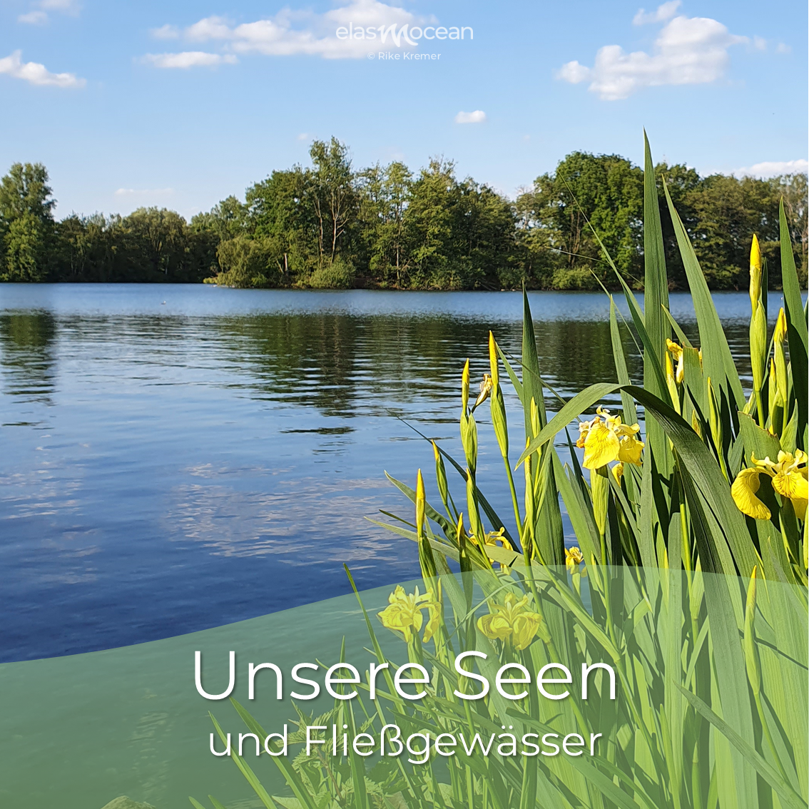 Unsere Seen und Fließgewässer