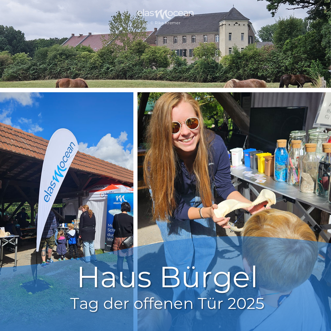 Haus B1