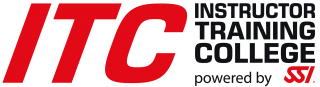 Logo: SSI ITC
