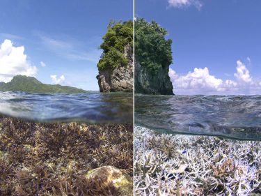 Dekoratives Bild: Vorher-Nachher, links eine Insel hinter einem gesundem Korallenriff, rechts die gleiche Insel vor weiß-gebleichten (toten) Korallen